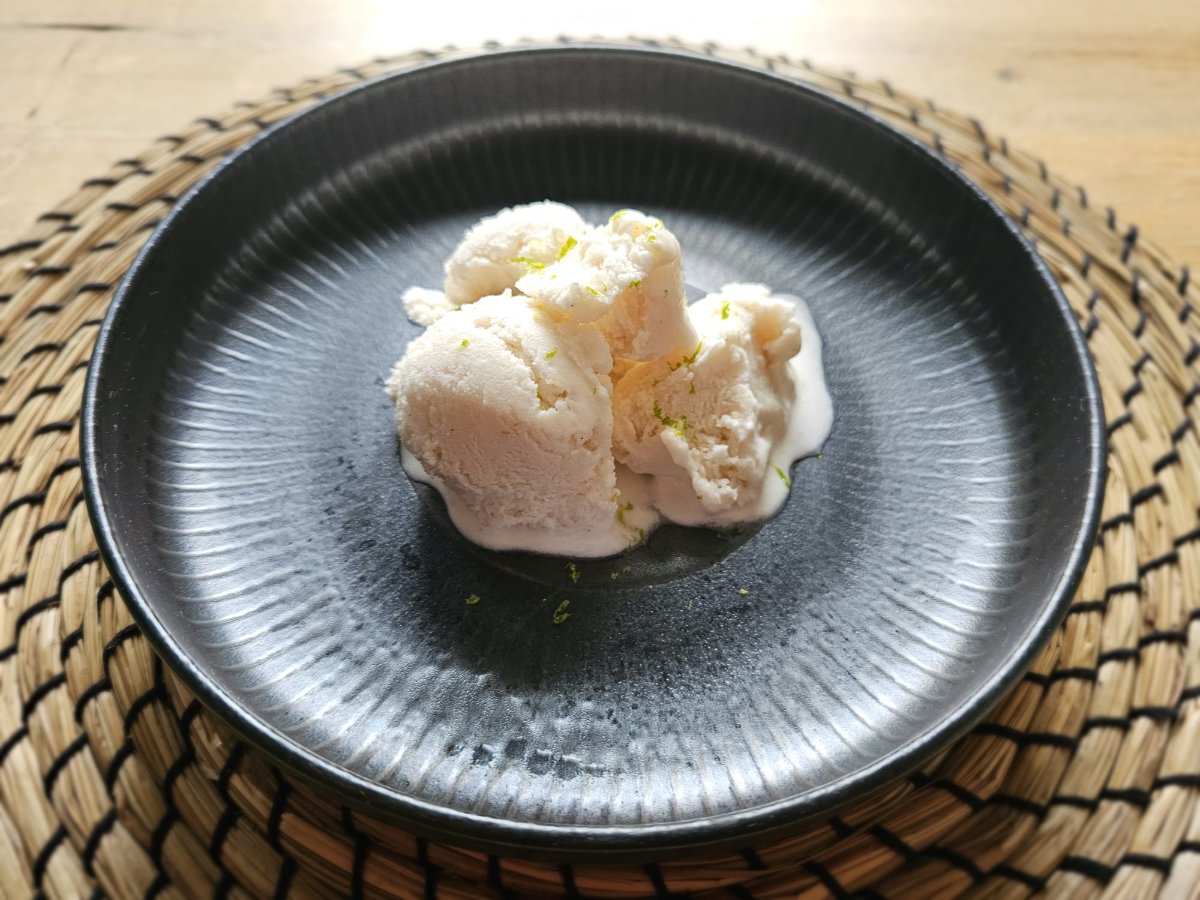 Romige kokossorbet vegan